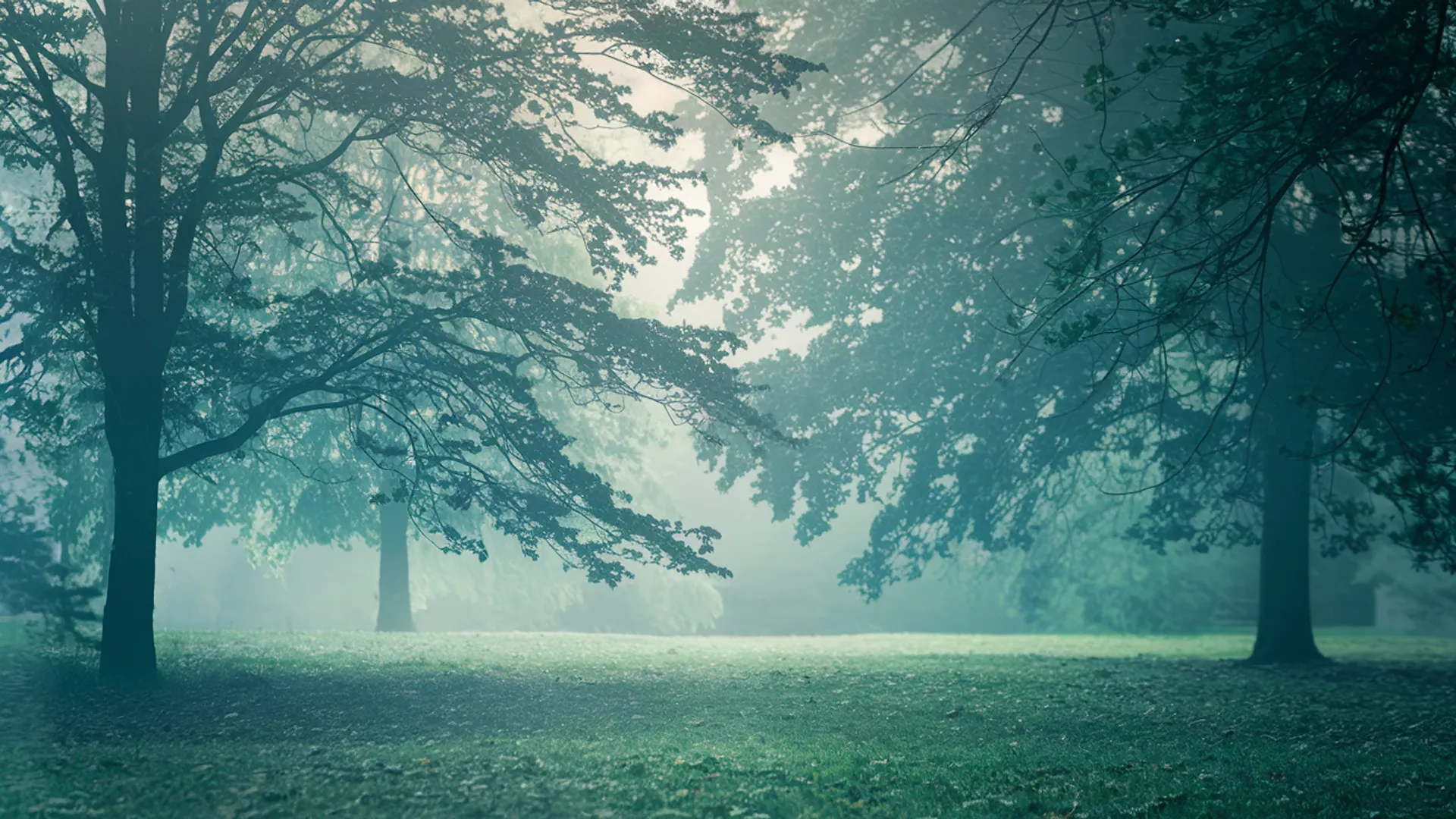 Burnout Therapists in Flower Mound — calm background image