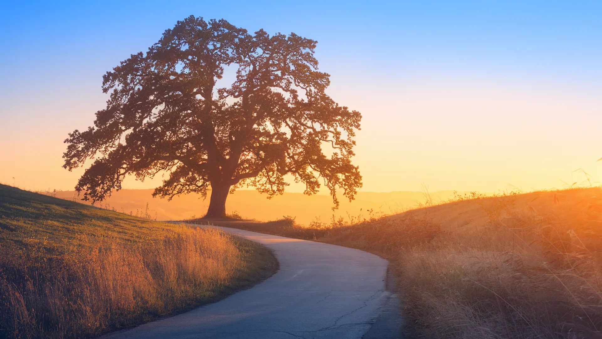 Career change at 50 - calm horizon ahead