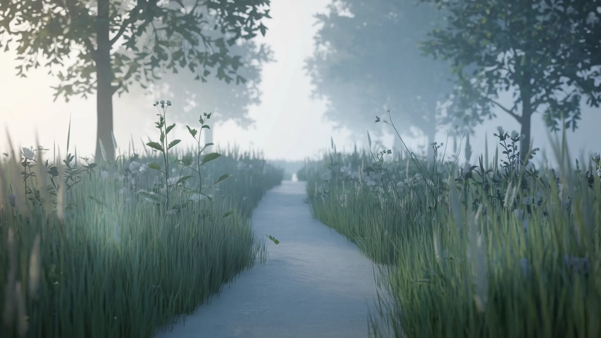 Coping with grief - finding your way through loss