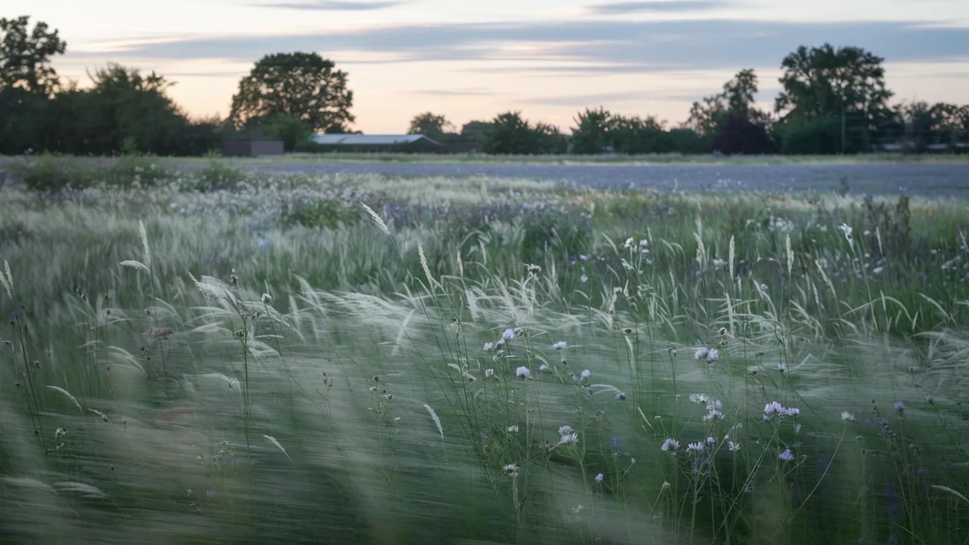 Mental Health Resources in Flower Mound — calm background image