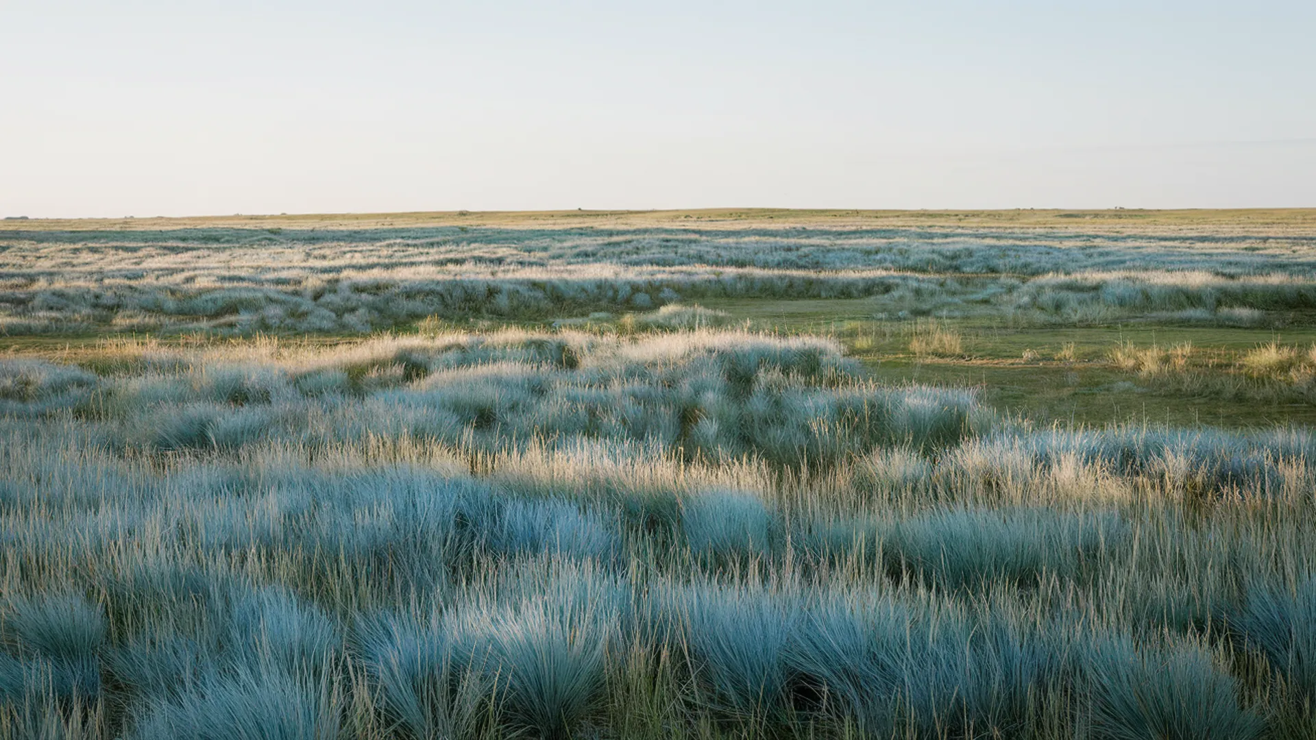 Mental Health Resources in Haslet — calm background image