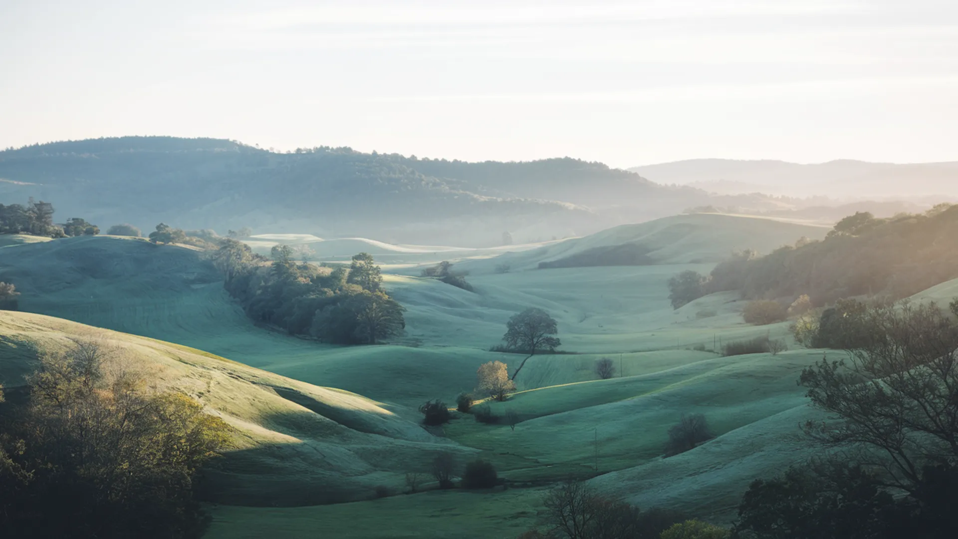 Mental health information for your journey — calm background image