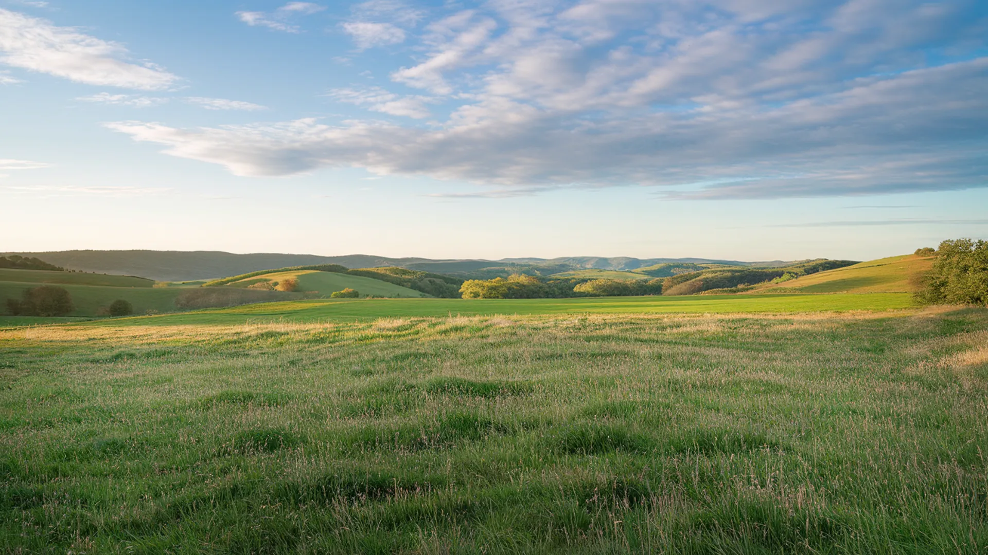 Mental Health Resources in Keller — calm background image