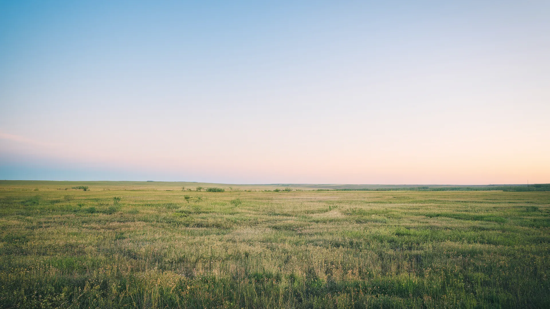 Mental Health Resources in North Texas — calm background image