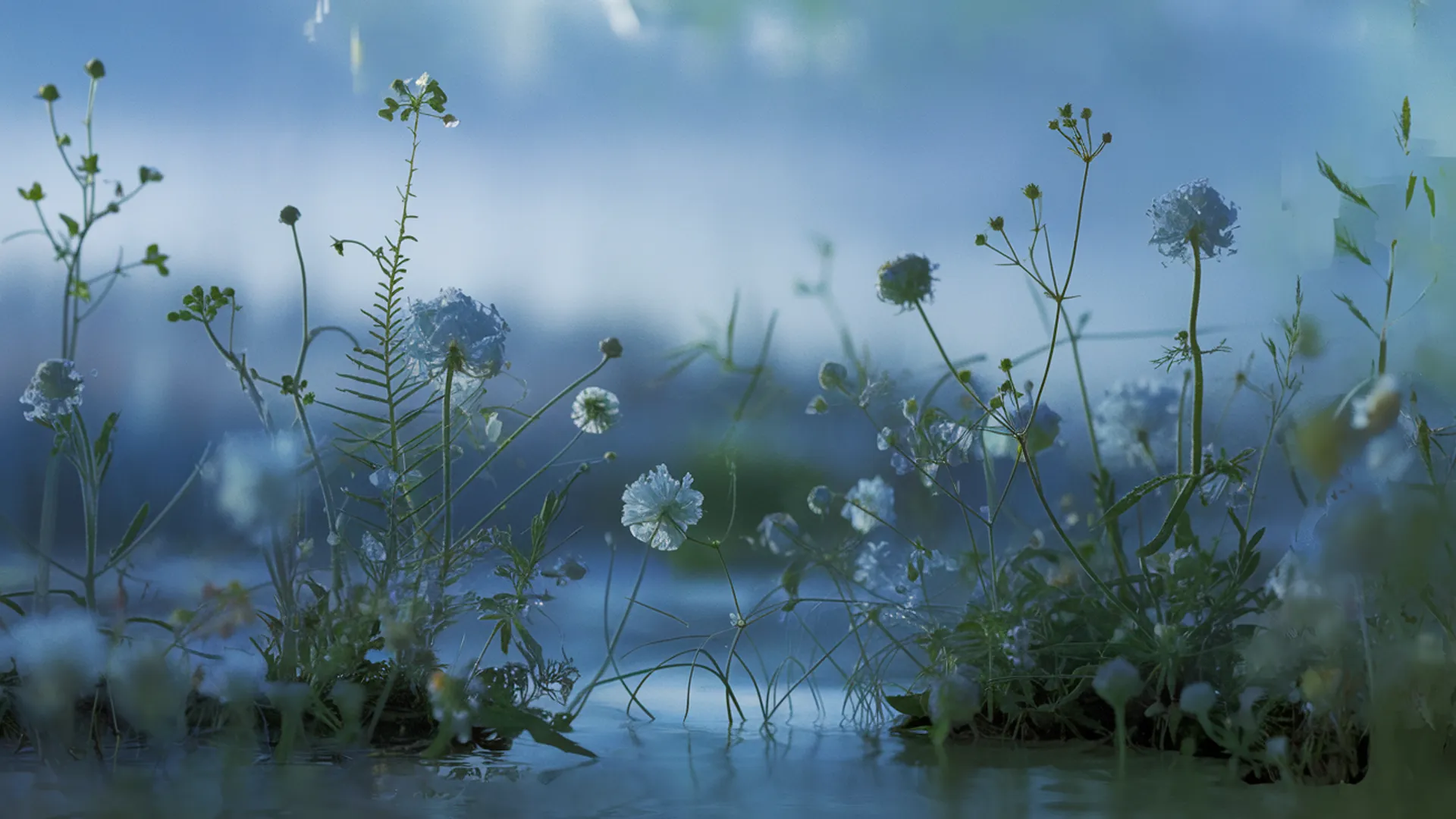 Perfectionism and anxiety - calm natural atmosphere