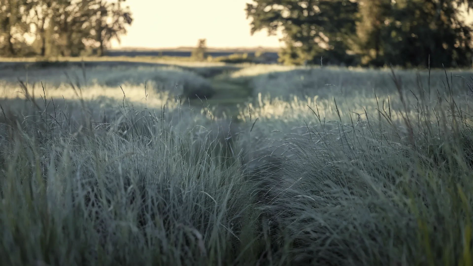 Relationships — calm background image